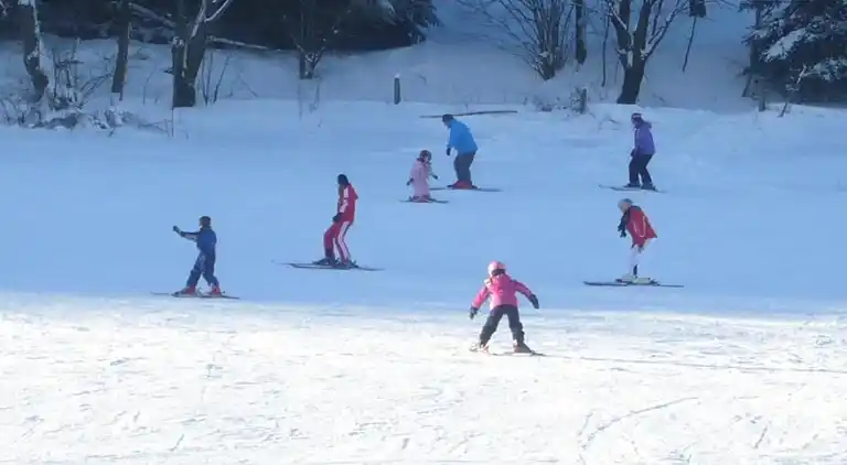 Ferielejlighed i Schwalefeld