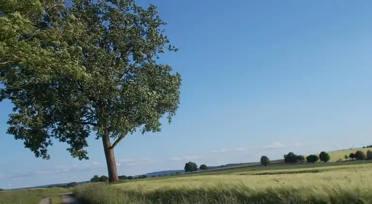 Sommerhus i Eschershausen