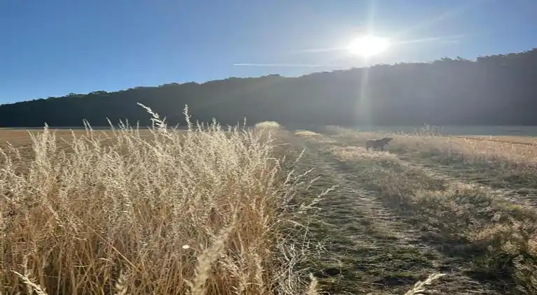 Sommerhus i Eschershausen