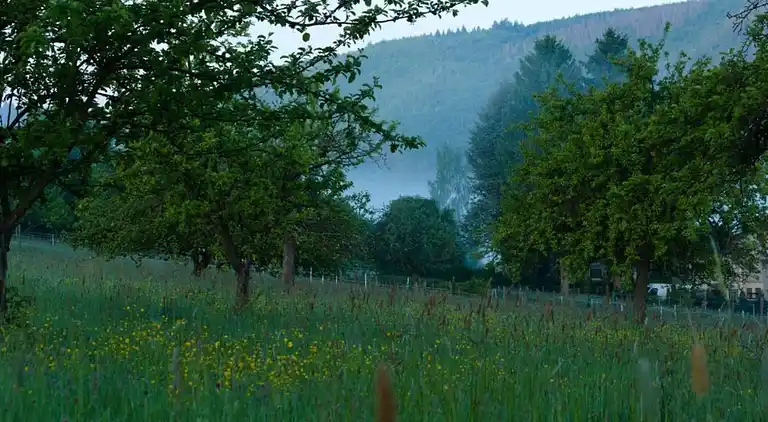 Sommerhus i Eschershausen