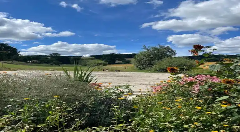 Sommerhus i Eschershausen
