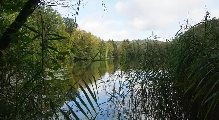 Sommerhus i Eschershausen
