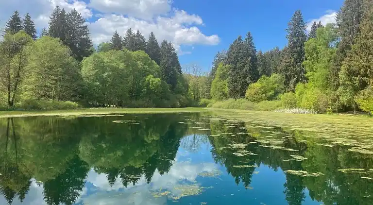 Sommerhus i Eschershausen