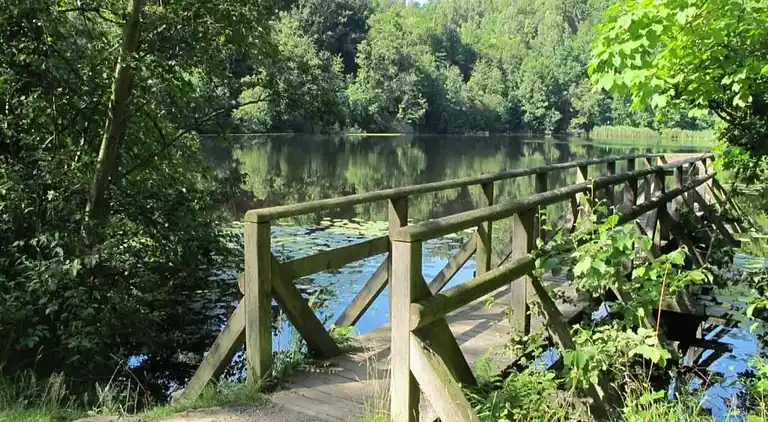 Sommerhus i Eschershausen