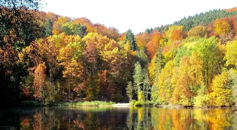 Sommerhus i Eschershausen