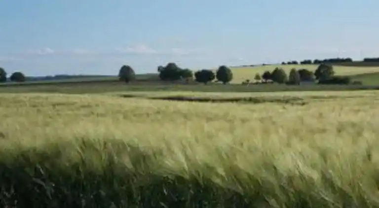 Sommerhus i Eschershausen