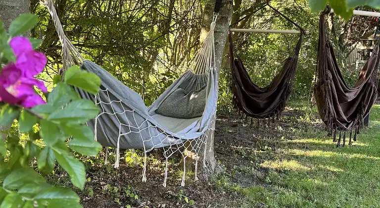Dejligt sommerhus tæt på strand og natur