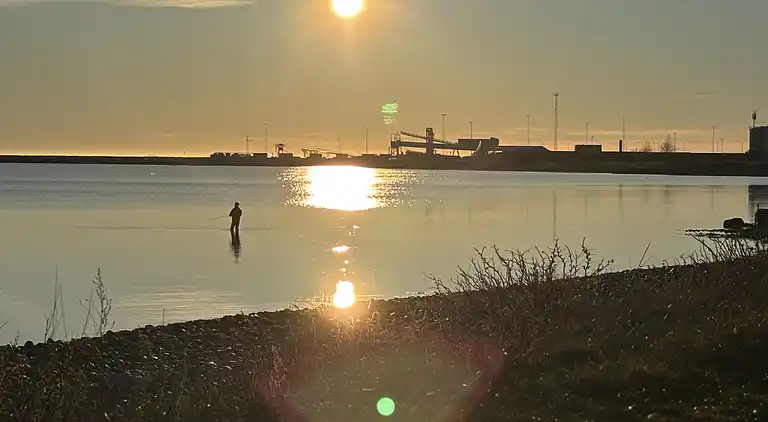 Dejligt sommerhus tæt på strand og natur