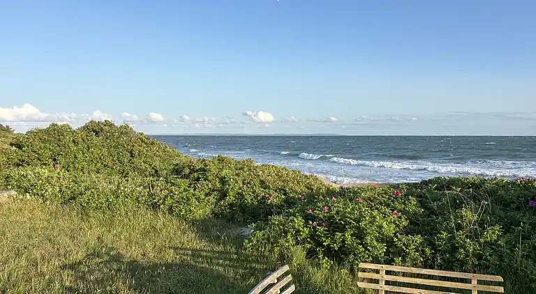 Dejligt sommerhus tæt på strand og natur