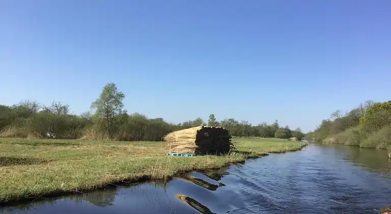 Villa in Wanneperveen