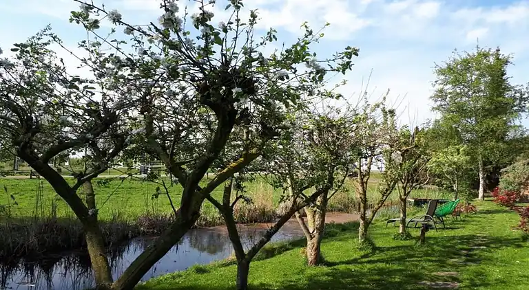 Villa in Wanneperveen