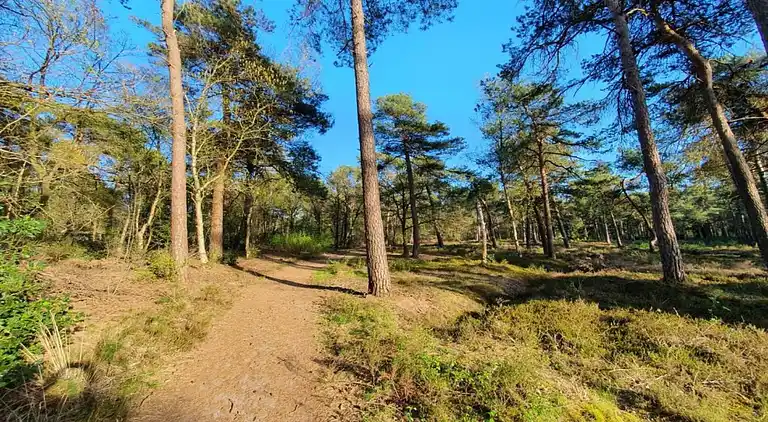 Vakantiehuis in IJhorst