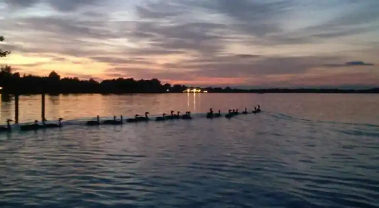 Villa i Wanneperveen