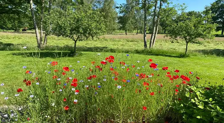 Vakantiehuis in Ruinerwold