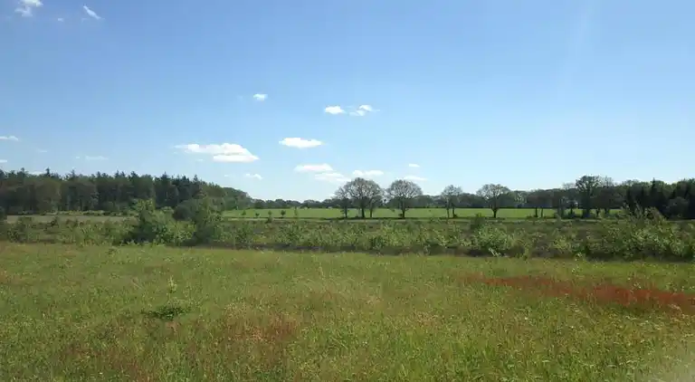 Vakantiehuis in Ruinerwold