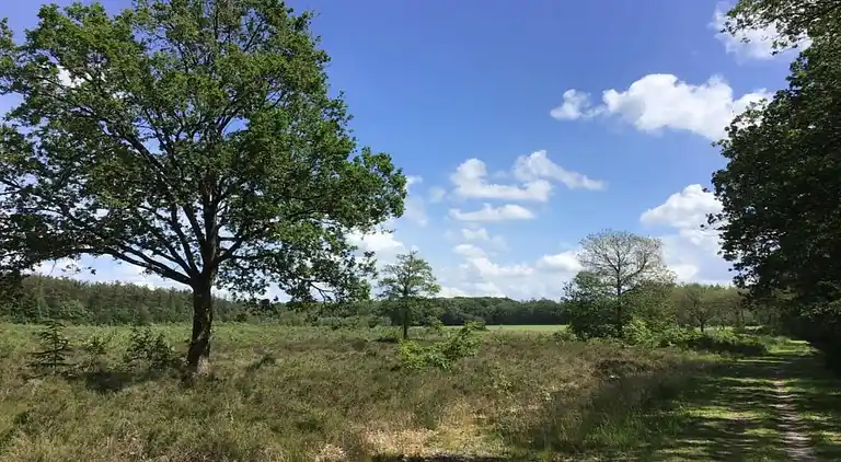 Vakantiehuis in Ruinerwold