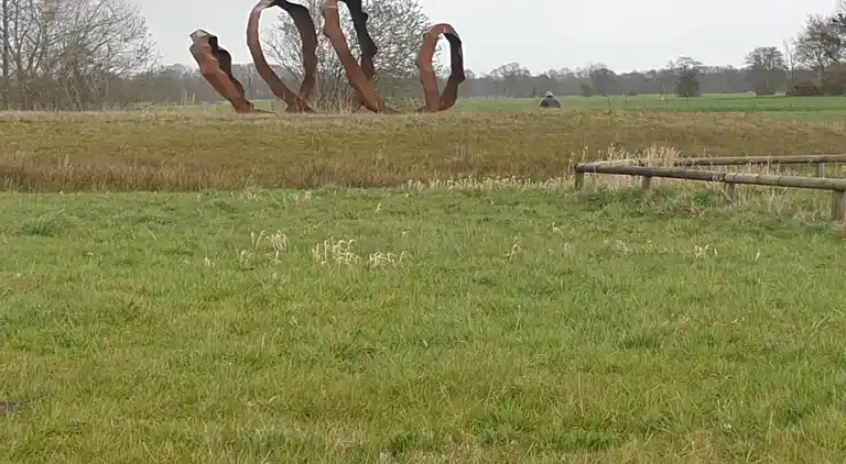 Vakantiehuis in Ruinerwold