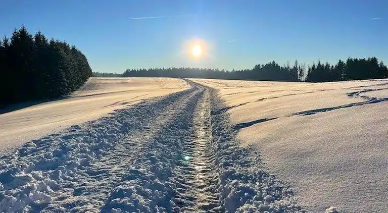 Apartment in Herrischried