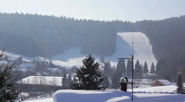 Apartment in Herrischried