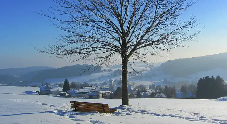 Apartment in Herrischried