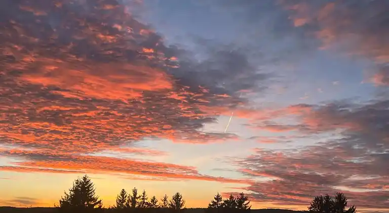 Ferielejlighed i Bermatingen