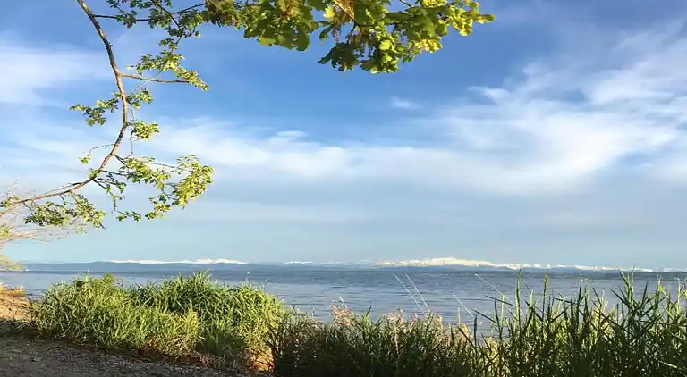 Ferielejlighed i Bermatingen