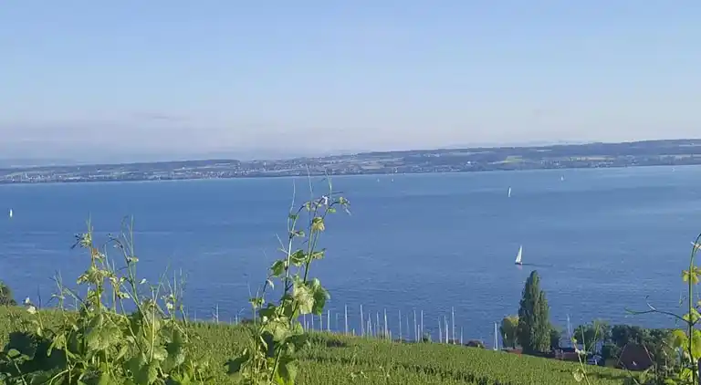 Ferielejlighed i Bermatingen