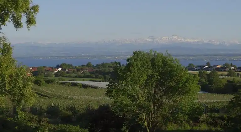 Ferielejlighed i Bermatingen