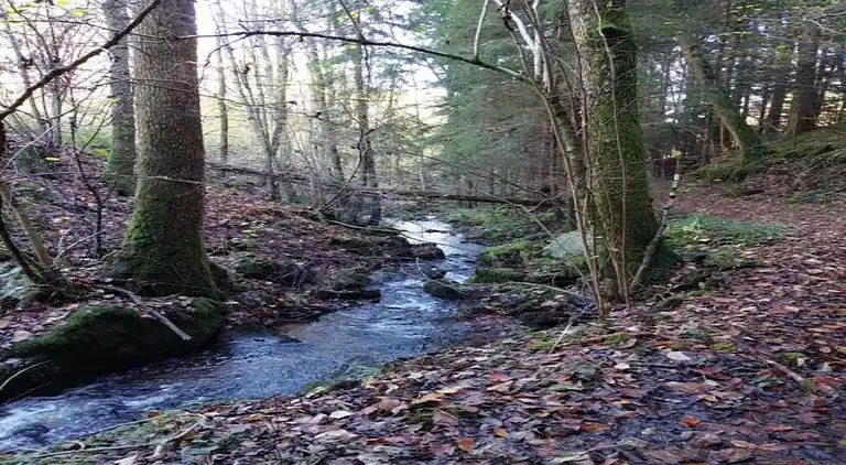 Ferielejlighed i Bermatingen