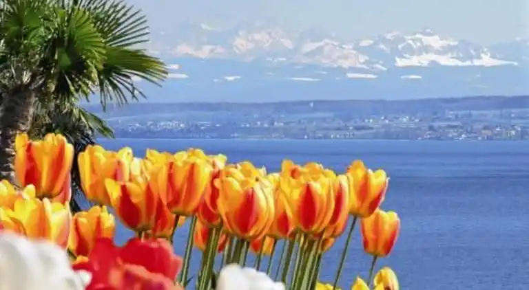 Ferielejlighed i Bermatingen