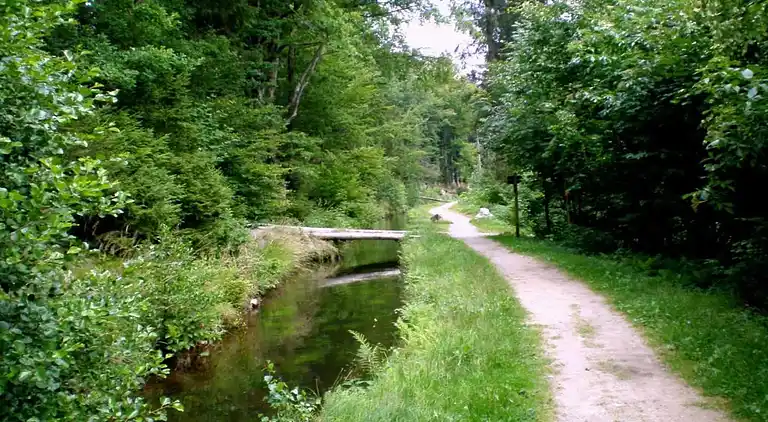 Sommerhus i Erlauzwiesel