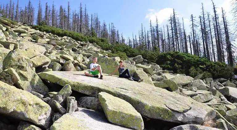 Sommerhus i Erlauzwiesel