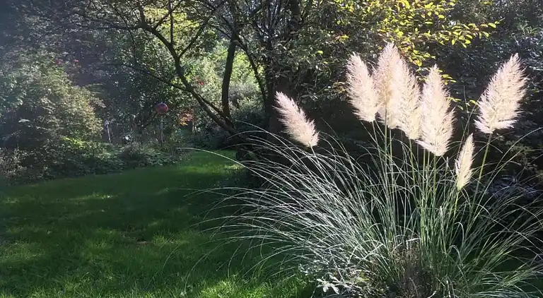 Sommerhus i Erlauzwiesel