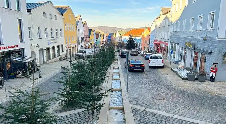 Sommerhus i Erlauzwiesel