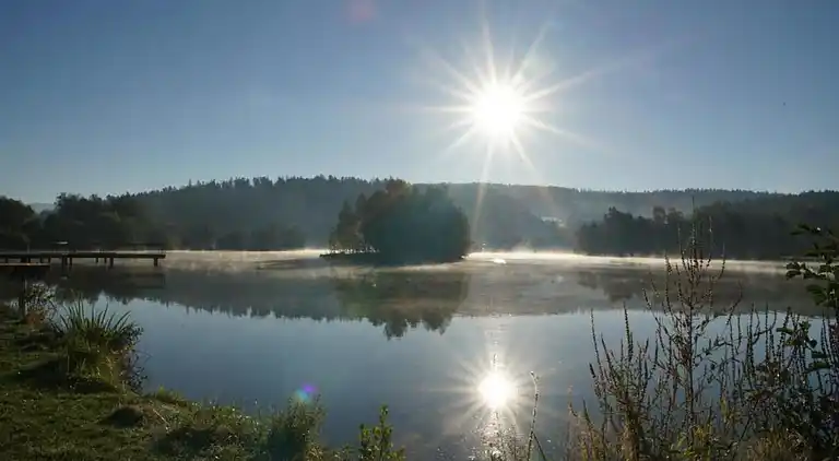 Sommerhus i Erlauzwiesel