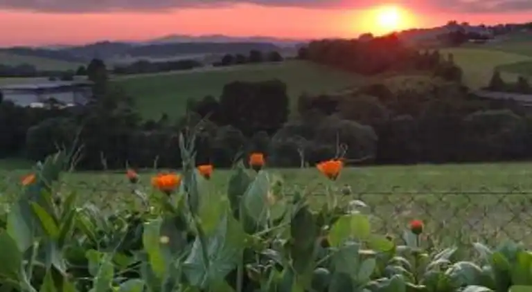 Sommerhus i Erlauzwiesel