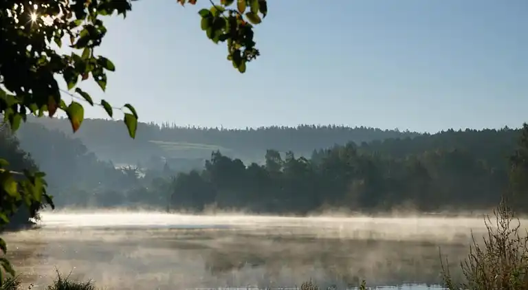 Sommerhus i Erlauzwiesel