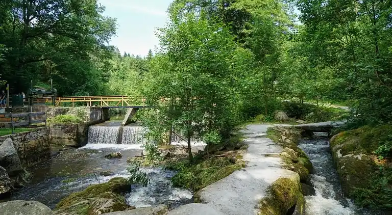 Sommerhus i Erlauzwiesel