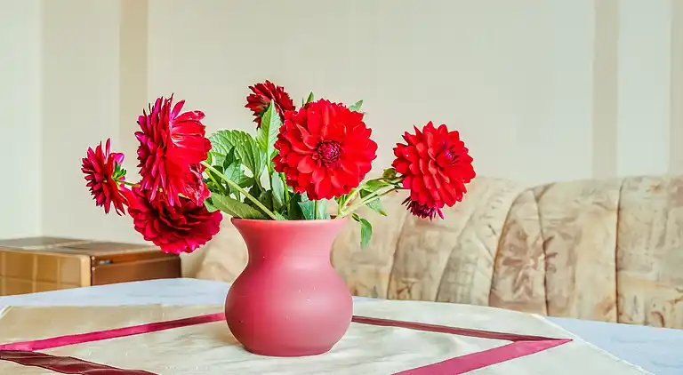 Holiday home in Hinternah