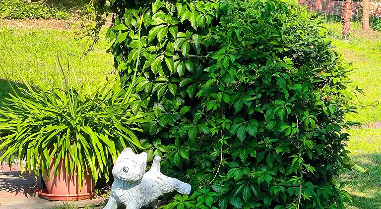 Holiday home in Hinternah