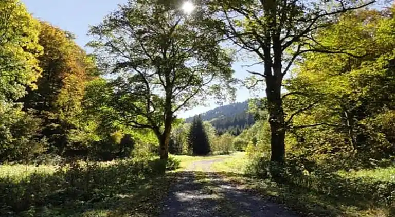 Ferielejlighed i Frauenwald