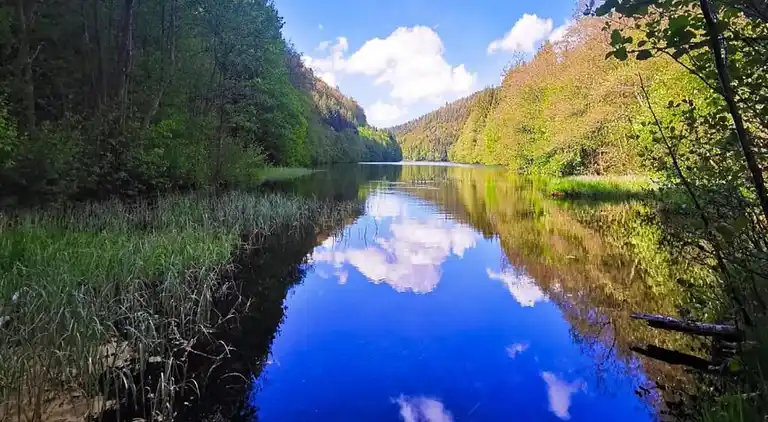 Ferielejlighed i Frauenwald