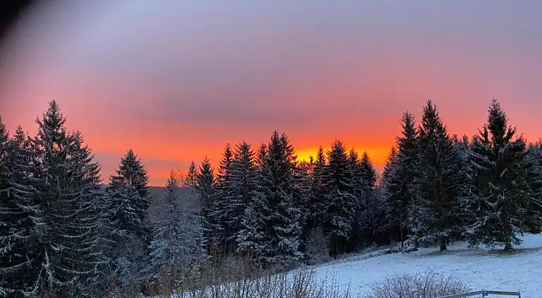 Ferielejlighed i Frauenwald