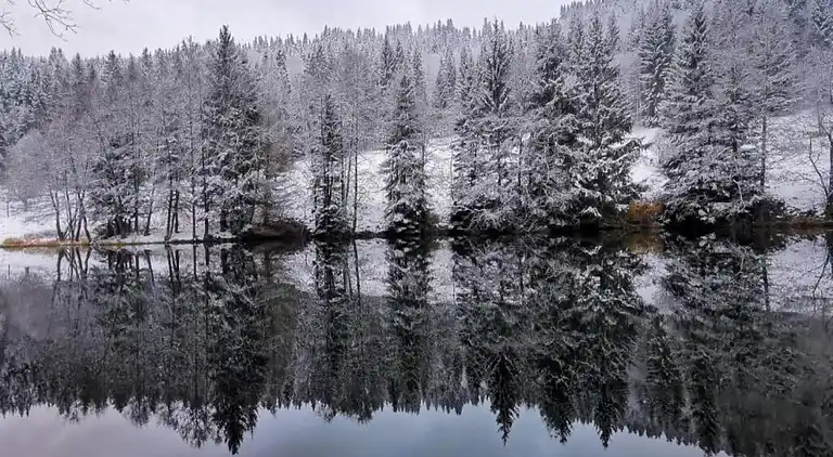 Ferielejlighed i Frauenwald