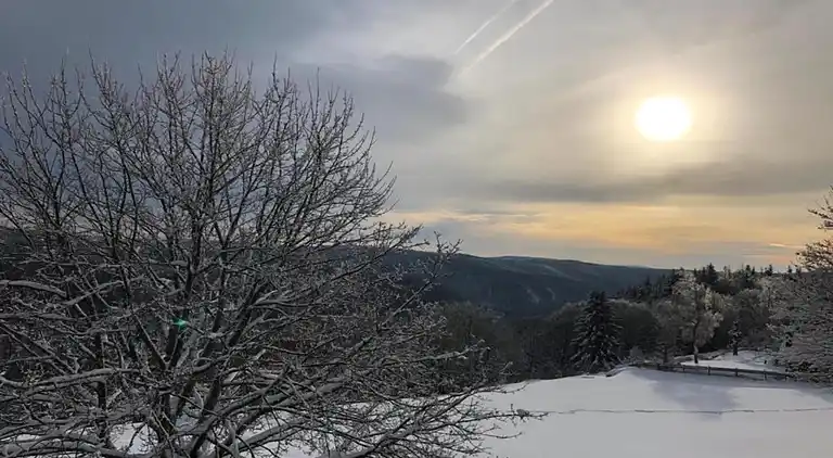 Ferielejlighed i Frauenwald
