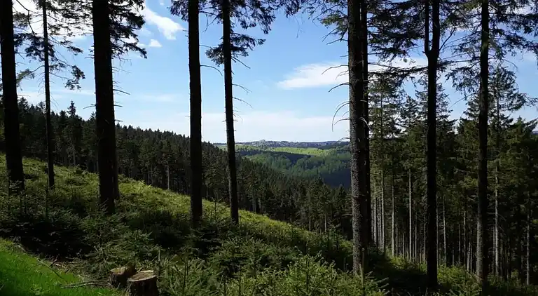 Ferielejlighed i Frauenwald