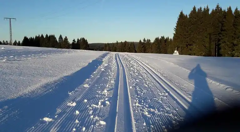Ferielejlighed i Frauenwald