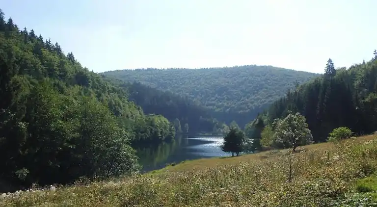 Ferielejlighed i Frauenwald