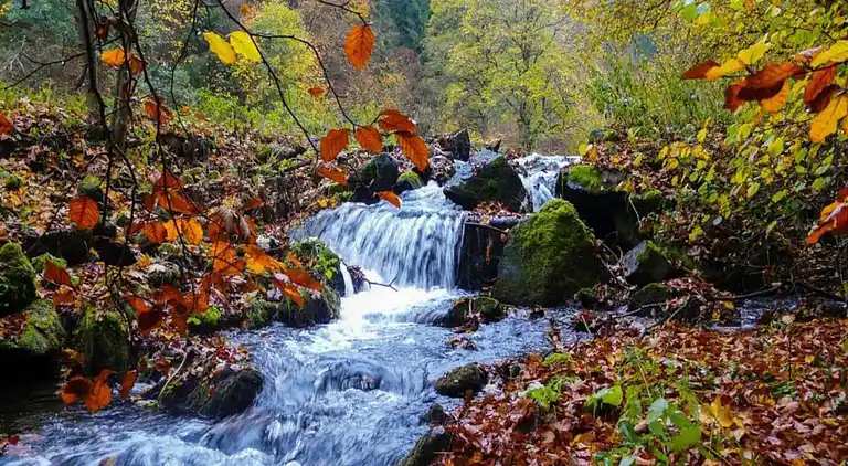 Ferielejlighed i Frauenwald
