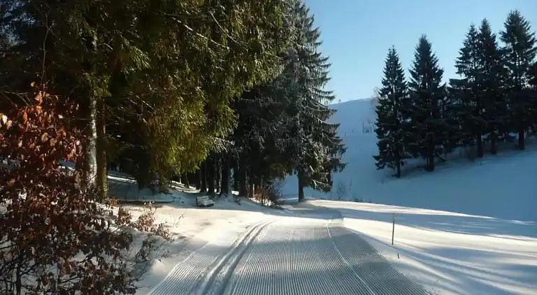 Ferielejlighed i Frauenwald